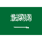 沙特阿拉伯队标,沙特阿拉伯图片